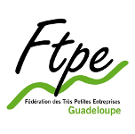 logo_ftpe